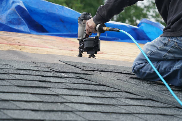 Best Roof Leak Repair  in Leipsic, OH